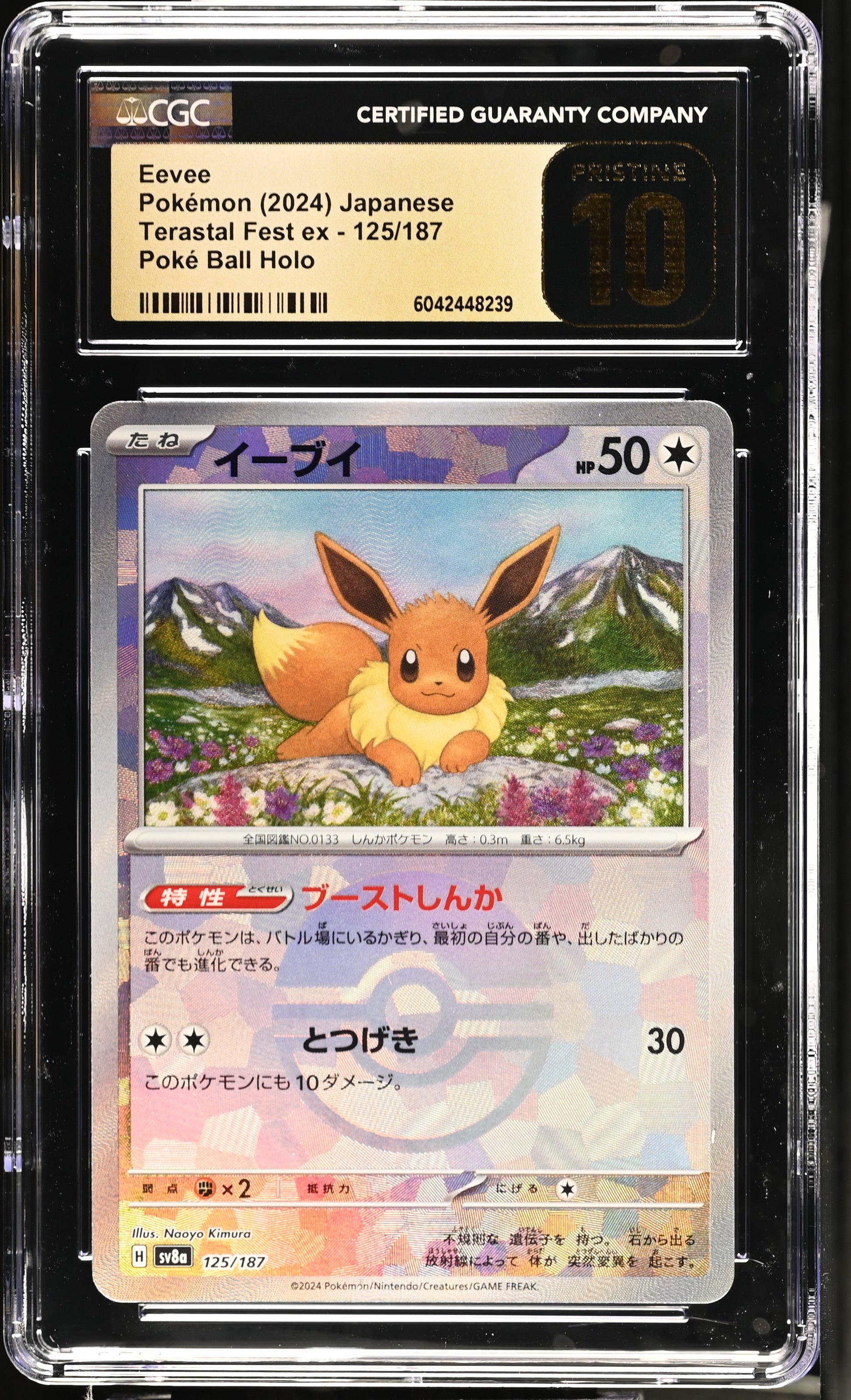 2024 Terastal Fest ex #125/187 Eevee CGC 10