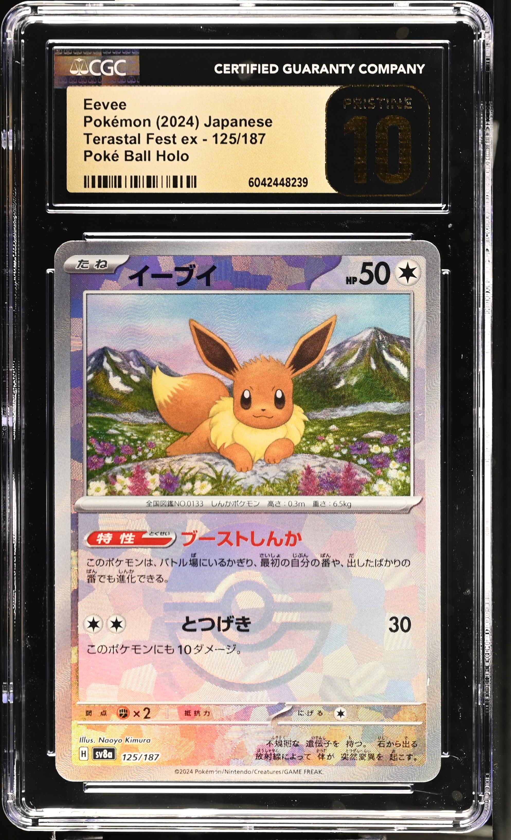 2024 Terastal Fest ex #125/187 Eevee CGC 10